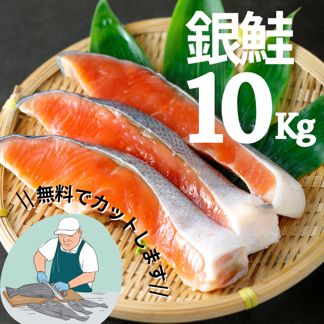 【送料無料】　　銀鮭振塩　約10kg　カット無料！